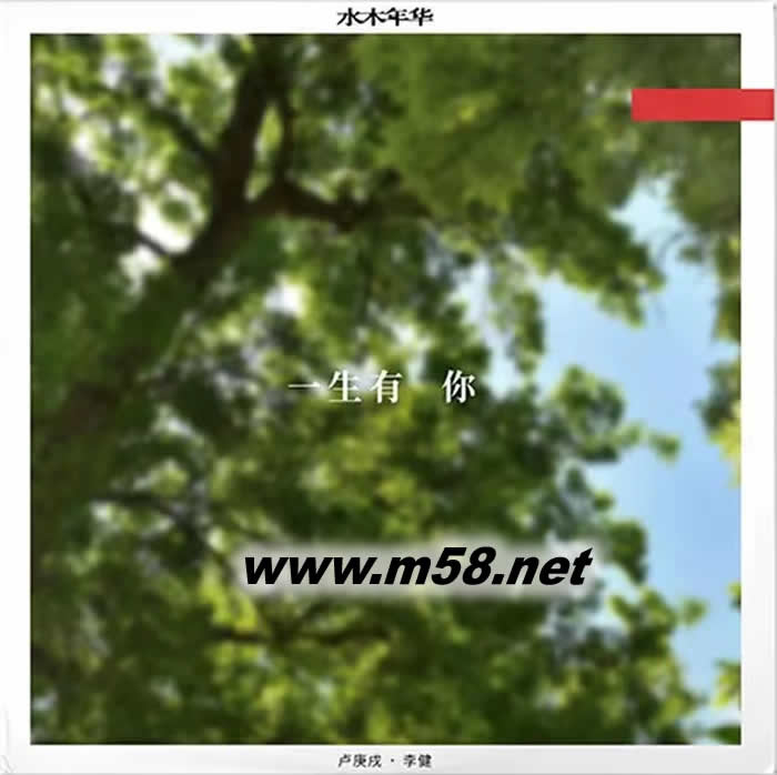 一生有你 黑膠專輯正面圖片